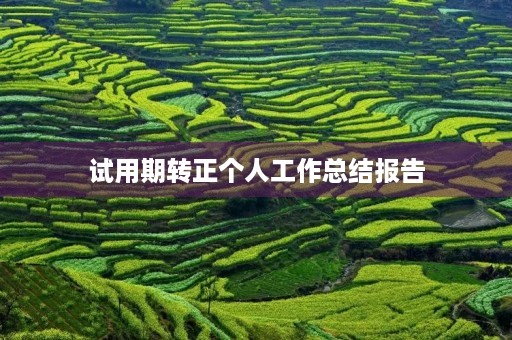 试用期转正个人工作总结报告 试用期转正个人工作总结报告