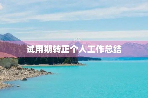 试用期转正个人工作总结