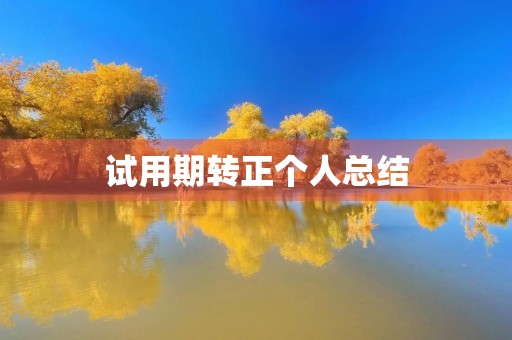试用期转正个人总结(13篇)