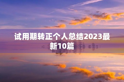 试用期转正个人总结2023最新10篇