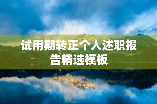 试用期转正个人述职报告精选模板