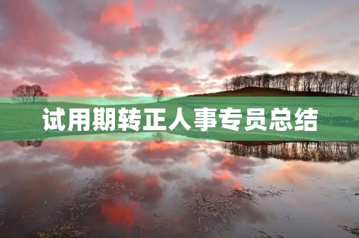 试用期转正人事专员总结