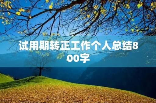 试用期转正工作个人总结800字（10篇）