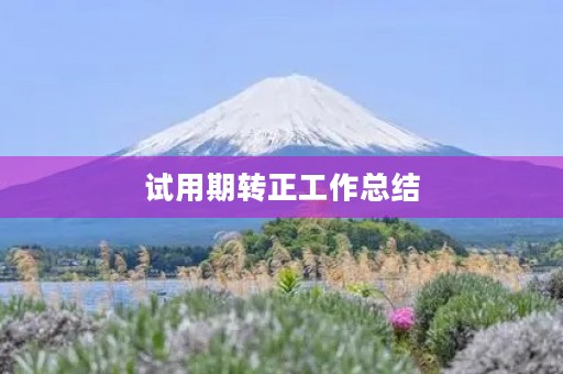 试用期转正工作总结【通用版】