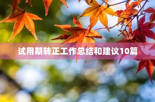 试用期转正工作总结和建议10篇