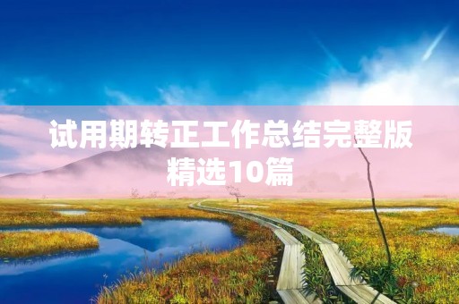 试用期转正工作总结完整版精选10篇