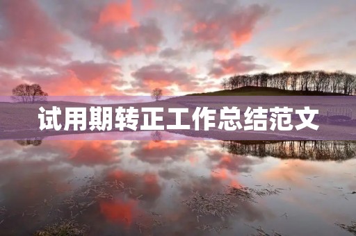 试用期转正工作总结范文