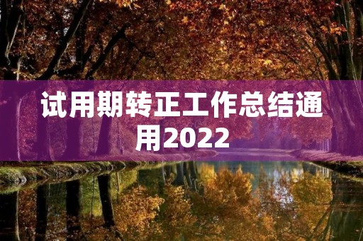 试用期转正工作总结通用2022