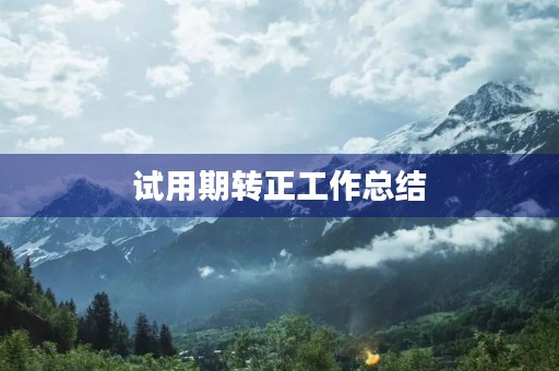 试用期转正工作总结(10篇)
