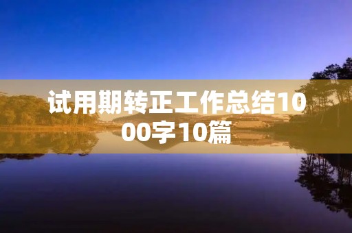 试用期转正工作总结1000字10篇