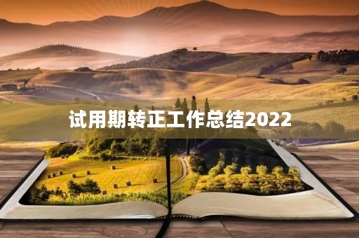 试用期转正工作总结2022