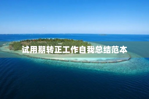 试用期转正工作自我总结范本