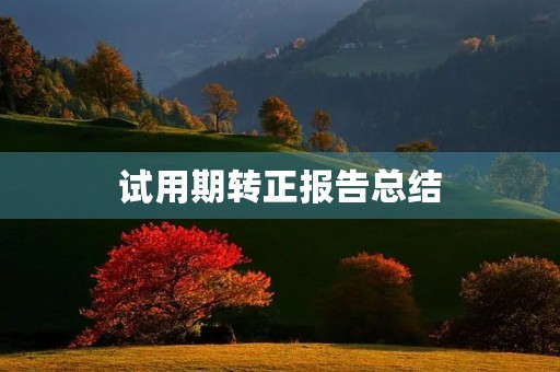 试用期转正报告总结
