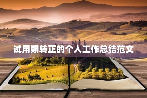 试用期转正的个人工作总结范文
