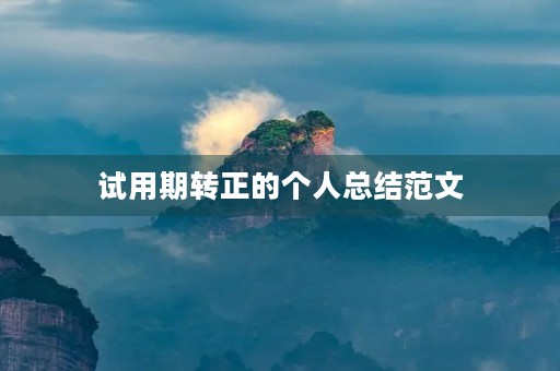 试用期转正的个人总结范文