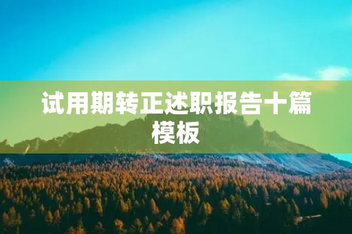 试用期转正述职报告十篇模板