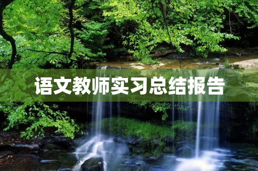 语文教师实习总结报告