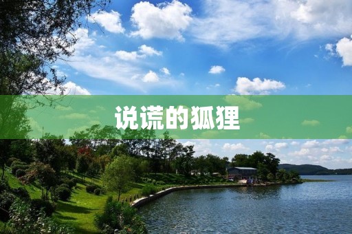 说谎的狐狸 说谎的狐狸