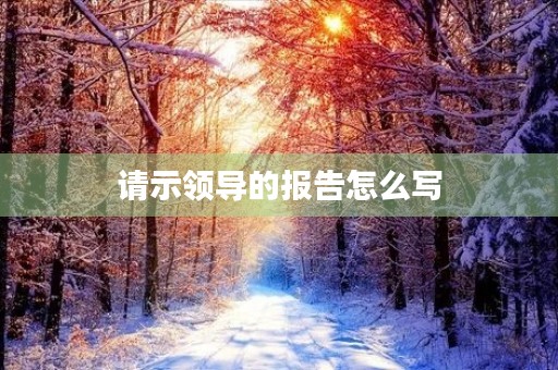 请示领导的报告怎么写
