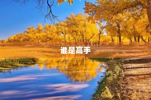 谁是高手
