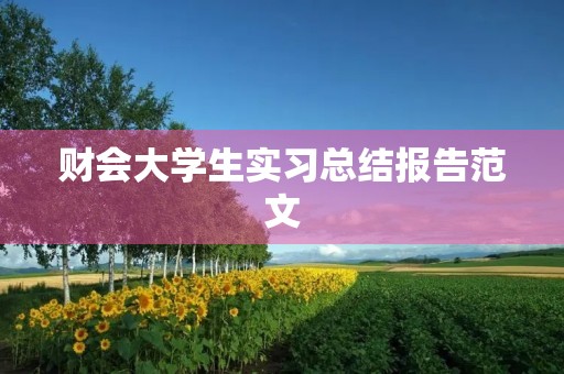 财会大学生实习总结报告范文