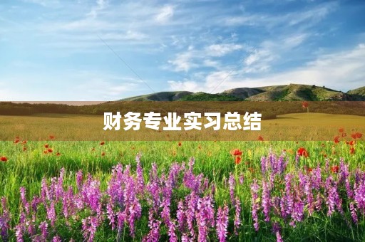 财务专业实习总结