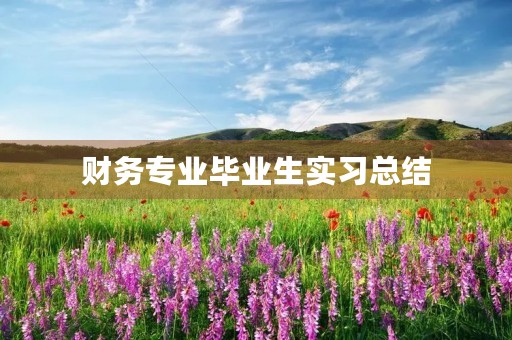 财务专业毕业生实习总结