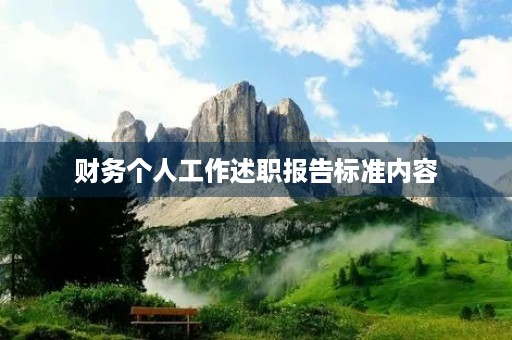 财务个人工作述职报告标准内容