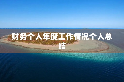 财务个人年度工作情况个人总结
