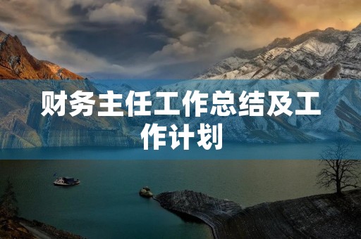财务主任工作总结及工作计划