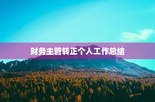财务主管转正个人工作总结