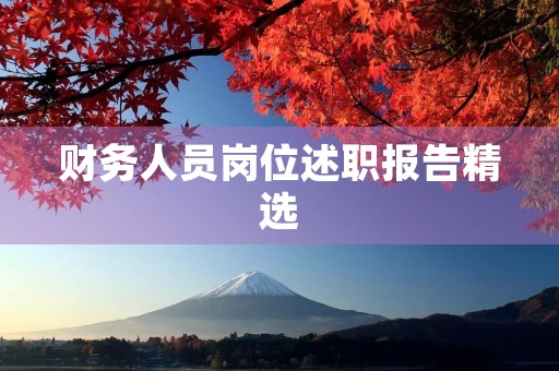 财务人员岗位述职报告精选(范本)