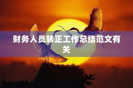 财务人员转正工作总结范文有关