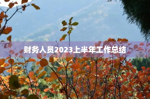 财务人员2023上半年工作总结