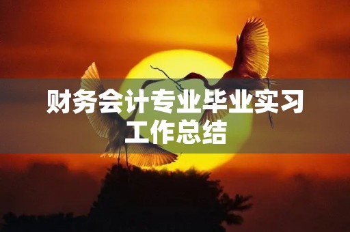 财务会计专业毕业实习工作总结（10篇）