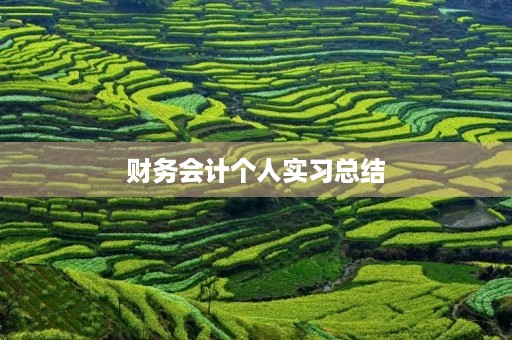 财务会计个人实习总结 财务会计个人实习总结