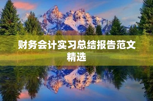 财务会计实习总结报告范文精选