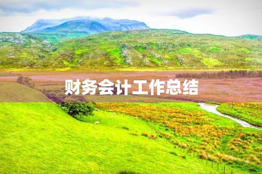 财务会计工作总结