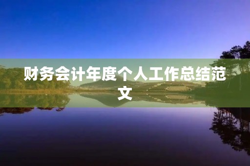 财务会计年度个人工作总结范文