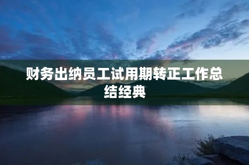 财务出纳员工试用期转正工作总结经典