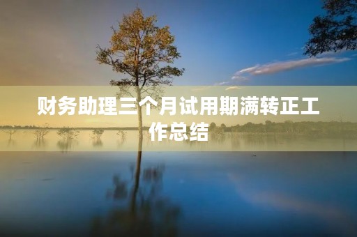 财务助理三个月试用期满转正工作总结