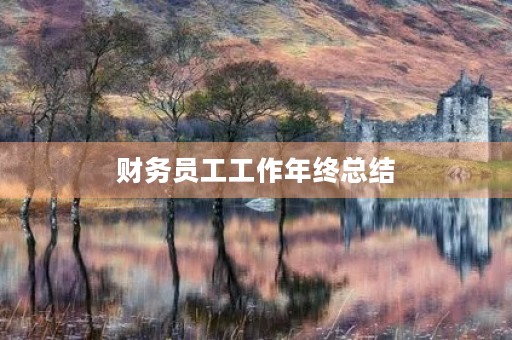 财务员工工作年终总结 财务员工工作年终总结
