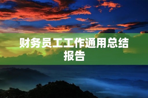 财务员工工作通用总结报告