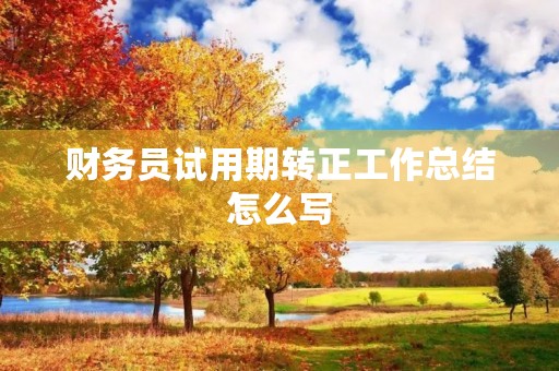 财务员试用期转正工作总结怎么写