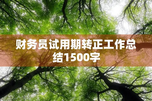 财务员试用期转正工作总结1500字