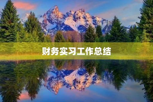 财务实习工作总结【7篇】 财务实习工作总结【7篇】