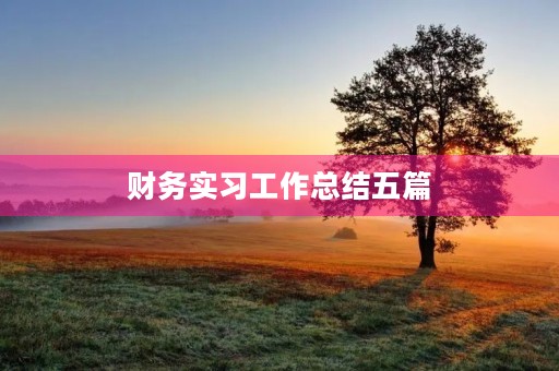 财务实习工作总结五篇 财务实习工作总结五篇