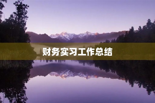 财务实习工作总结(5篇) 财务实习工作总结(5篇)