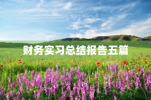 财务实习总结报告五篇 财务实习总结报告五篇