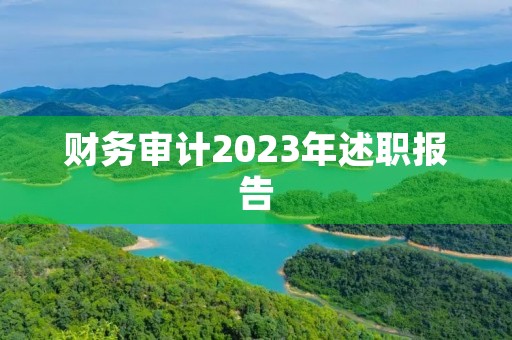 财务审计2023年述职报告 财务审计2023年述职报告